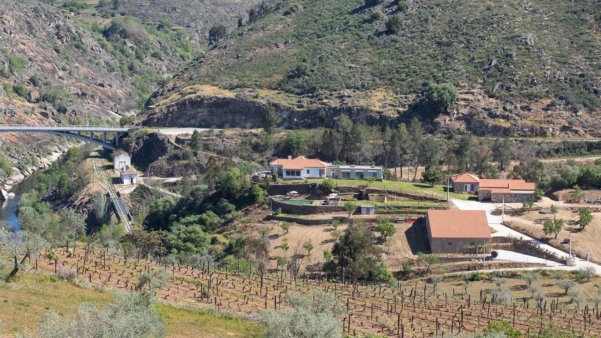 CRU Wines